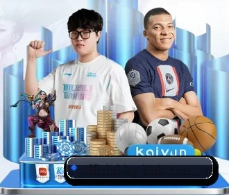 全流程赛事陪伴, 观赛有据可依(kaiyun)